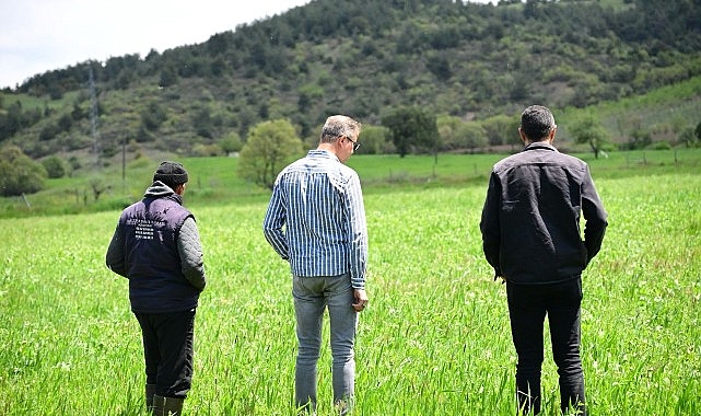 B&uuml;y&uuml;kşehir&rsquo;in Toprakla Buluşan Tohumları Yeşerdi