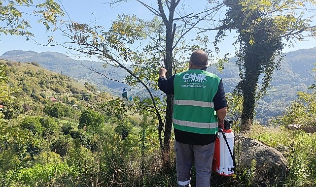 Canik Belediyesi'nden Kokarca Zararlısına İla&ccedil;la M&uuml;dahale