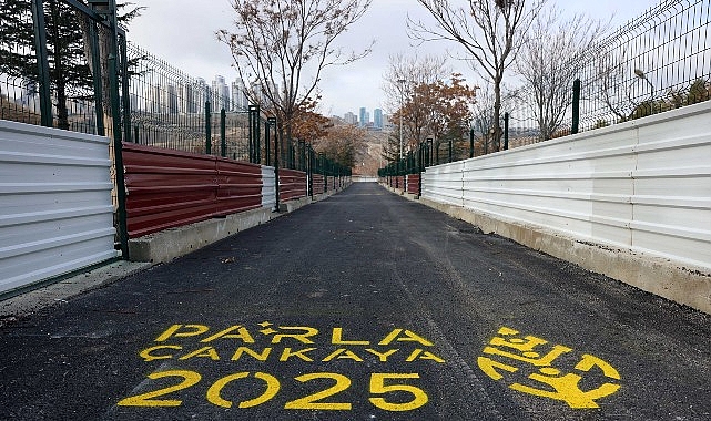 &Ccedil;ankaya Belediyesi Barınak Kapasitesini 1.500&rsquo;e &Ccedil;ıkardı