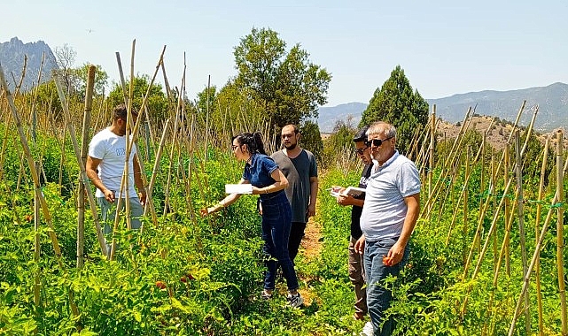 &Ccedil;ankaya Belediyesi&rsquo;nden organik pazar denetimleri