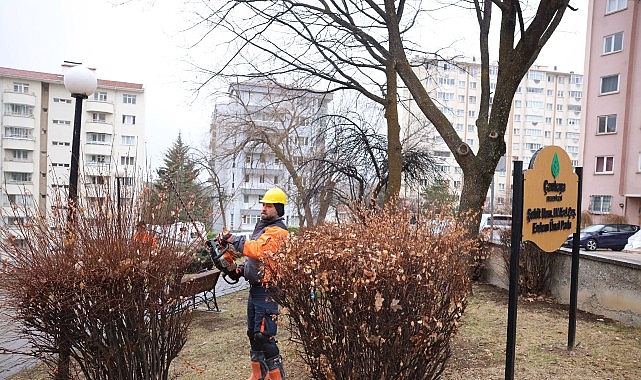 &Ccedil;ankaya&rsquo;da Budama &Ccedil;alışmaları Bahar &Ouml;ncesi Hız Kazandı