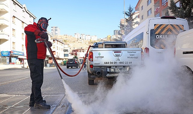 &Ccedil;ankaya&rsquo;da D&ouml;rt Mevsim Haşere ile M&uuml;cadele