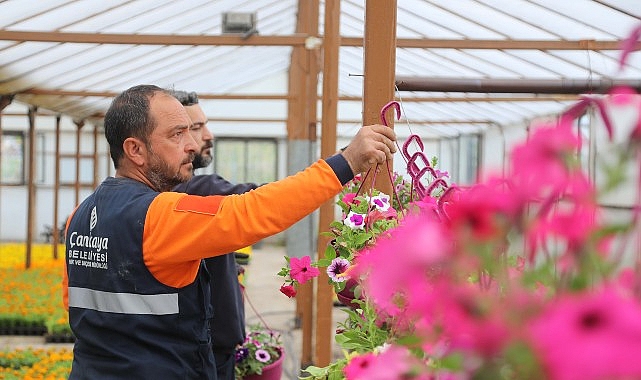 &Ccedil;ansera'nın Yazlık &Ccedil;i&ccedil;ekleri &Ccedil;ankaya'yı S&uuml;sleyecek