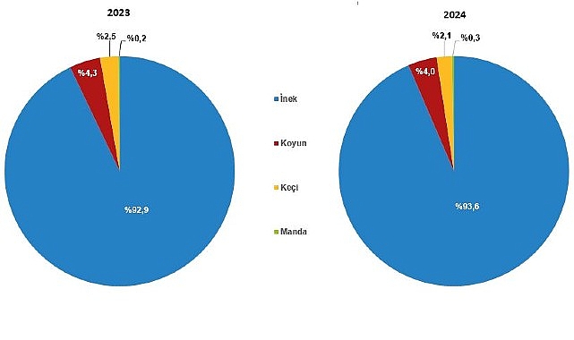 &Ccedil;iğ S&uuml;t &Uuml;retim İstatistikleri, 2024