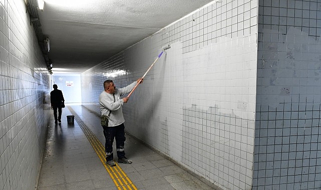 &Ccedil;iğli&rsquo;de sonbahar bakımı: Ağa&ccedil;lar budanıyor, kent g&uuml;zelleşiyor