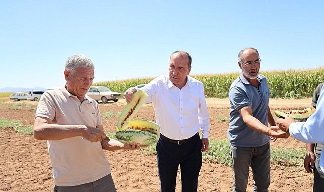 &Ccedil;umra&rsquo;nın Sarı İ&ccedil;li &ldquo;Tatar Karpuzu&rdquo; Yeniden G&uuml;ndemde