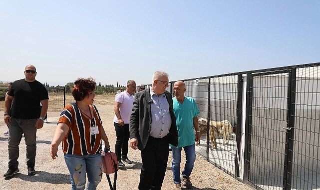 Edremit Belediyesi can dostlara sahip &ccedil;ıkıyor