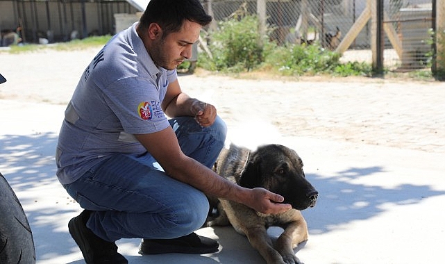 Efes Sel&ccedil;uk&rsquo;ta &ldquo;Satın Alma Sahiplen&rdquo; &Ccedil;ağrısı