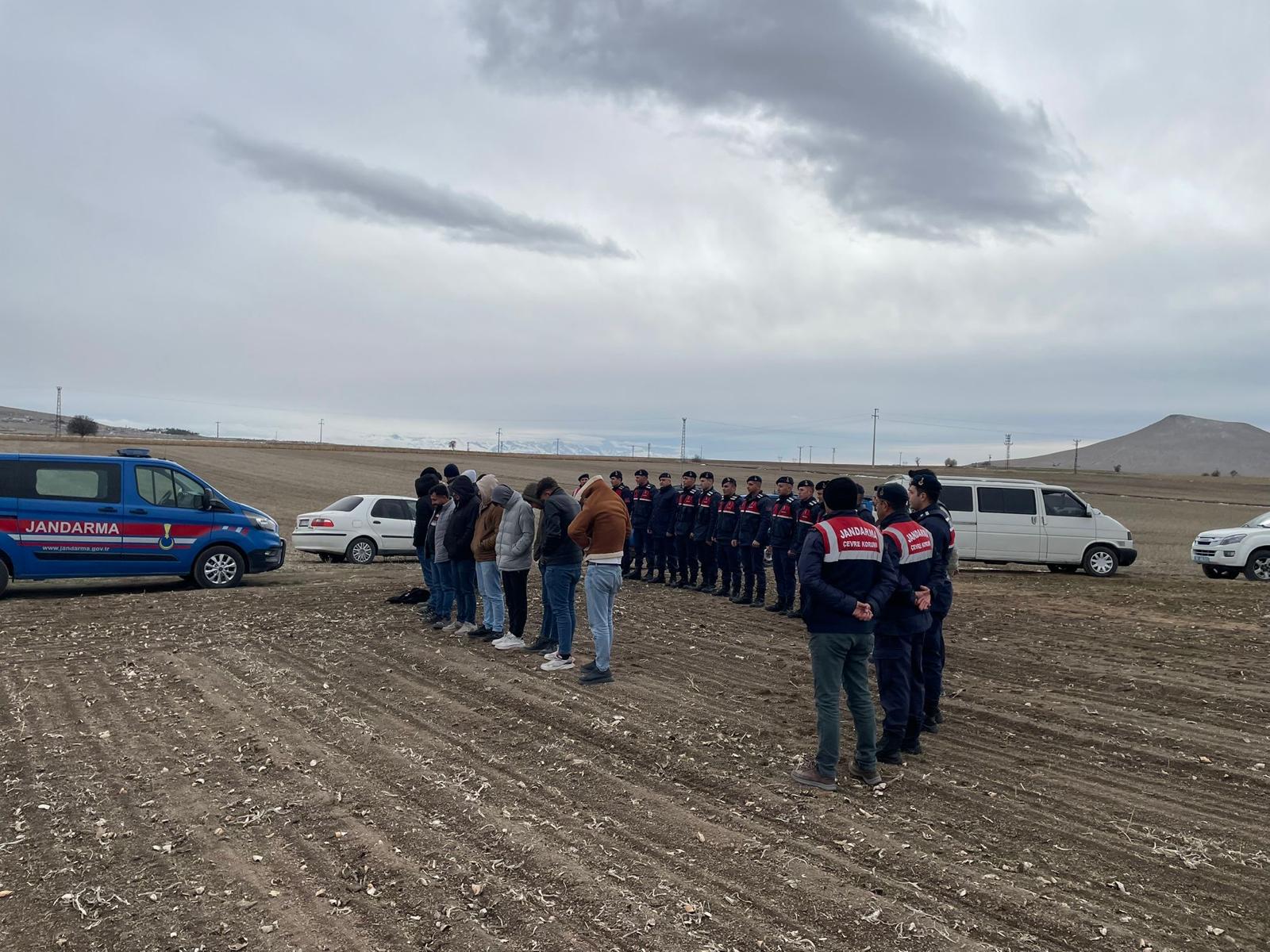 Nevşehir&rsquo;de K&ouml;pek D&ouml;v&uuml;ş&uuml;ne Jandarma Baskını