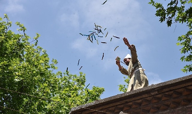 Festival&rsquo;in Renkleri Fotoğraf Karelerinde Hayat Bulacak