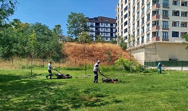 Gebze Tatlıkuyu Vadisi Kent Parkı'na d&uuml;zenli bakım