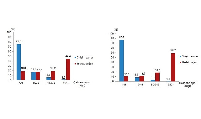 Girişim &Ouml;zelliklerine G&ouml;re Dış Ticaret İstatistikleri, 2024