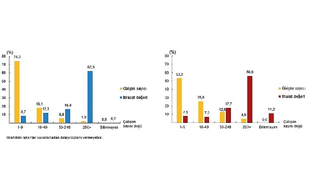 Girişim &Ouml;zelliklerine G&ouml;re Uluslararası Hizmet Ticareti İstatistikleri, 2024