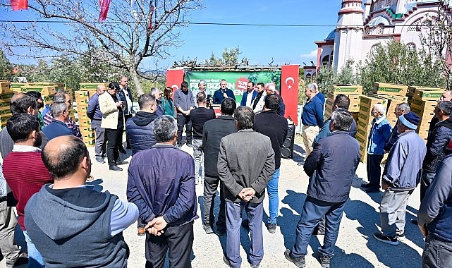 G&ouml;rdes&rsquo;te &Uuml;reticinin Y&uuml;z&uuml; G&uuml;ld&uuml;: 73 Bin Domates Fidesi Toprakla Buluşuyor