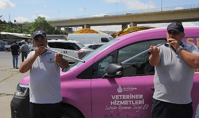 İBB boğa timi g&ouml;rev başında
