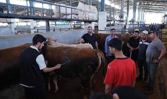 İneg&ouml;l Modern Hayvan Pazarı Beşinci Kez Bayram Sevinci Yaşattı
