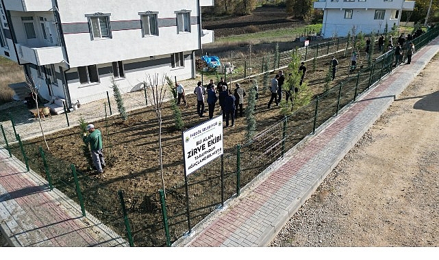 İneg&ouml;ll&uuml; Gen&ccedil;lerden &Ouml;rnek Davranış: 32 Fidan Toprakla Buluştu