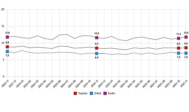 İşg&uuml;c&uuml; İstatistikleri, Kasım 2025