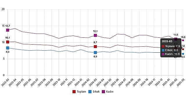 İşg&uuml;c&uuml; İstatistikleri, Mart 2025