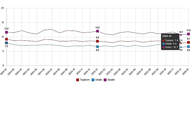 İşg&uuml;c&uuml; İstatistikleri, Ocak 2026