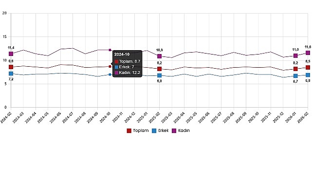 İşg&uuml;c&uuml; İstatistikleri, Şubat 2026