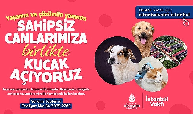 İstanbul Vakfı'ndan sahipsiz can dostlarımıza destek &ccedil;ağrısı
