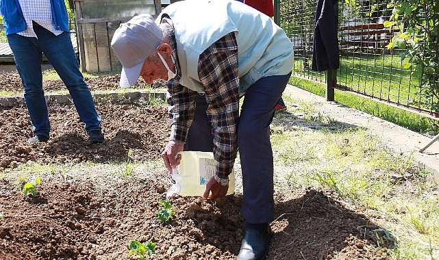 İstanbullu Halk Bostanlarını &Ccedil;ok Sevdi