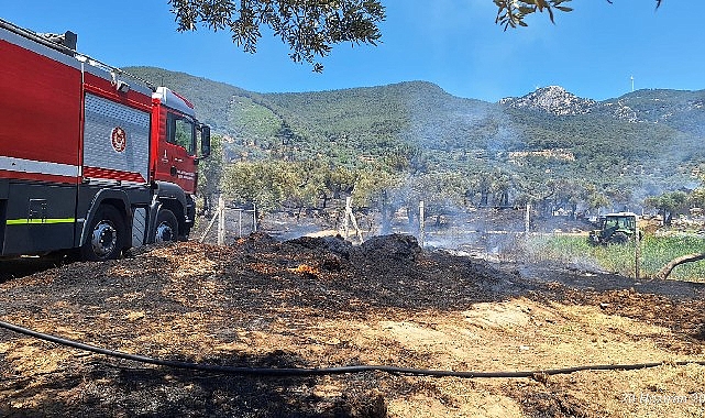 İzmir İtfaiyesi Torbalı, Kınık ve Menderes&rsquo;teki yangınlara m&uuml;dahale etti