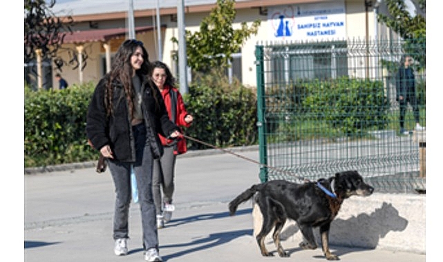 İzmirli hayvansever &Ccedil;&ouml;rek&ccedil;i&rsquo;nin emanetlerine İzmir B&uuml;y&uuml;kşehir Belediyesi sahip &ccedil;ıktı