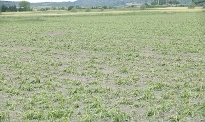 Kahramankazan&rsquo;da Sağanak ve Dolu Hayatı Fel&ccedil; Etti!