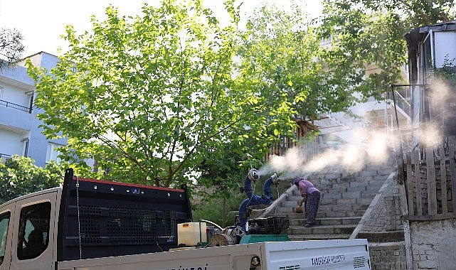 Karabağlar&rsquo;da Haşerelere Karşı İla&ccedil;lama Seferberliği