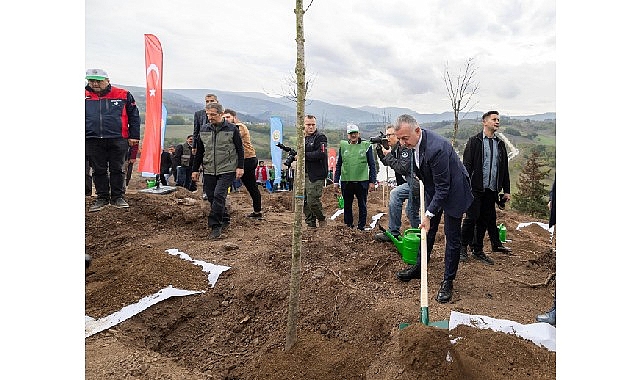 Karam&uuml;rsel'de yanan b&ouml;lge 3 bin fidanla yeniden yeşerecek