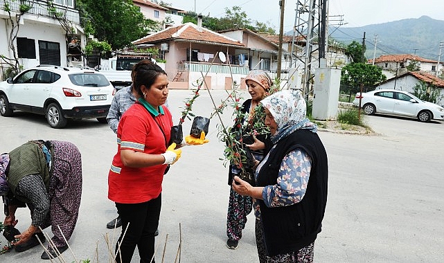 Karşıyaka Belediyesi&rsquo;nden Sancaklı&rsquo;da fidan dayanışması