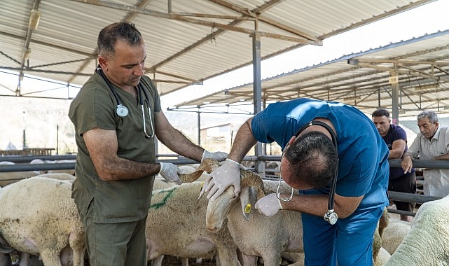 Karşıyaka, Kurban Bayramı&rsquo;na hazır!