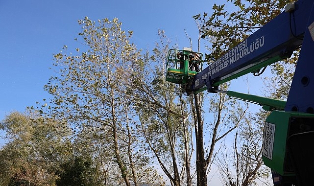 Kartepe&rsquo;de Yeşil Alanlara Bakım