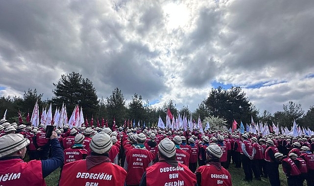 Kartepe&rsquo;li İzciler &Ccedil;anakkale&rsquo;de Tarih Bilinciyle Y&uuml;r&uuml;d&uuml;