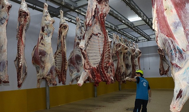 Kasapların tercihi B&uuml;y&uuml;kşehir Mezbahası