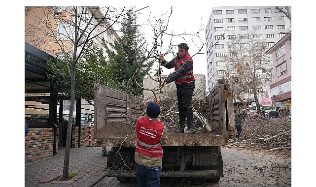 Ke&ccedil;i&ouml;ren&rsquo;de Budama &Ccedil;alışmasıyla Yeşil &Ouml;rt&uuml; Korunuyor