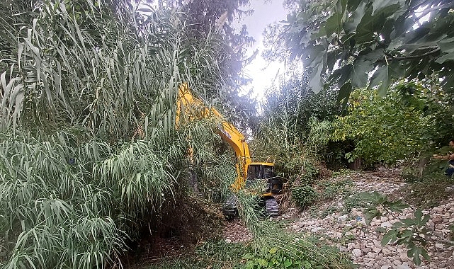 Kemer&rsquo;de dere temizliği &ccedil;alışmaları