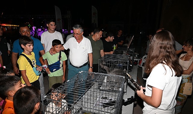 Kemer&rsquo;de sokak hayvanları yararına ikinci konser