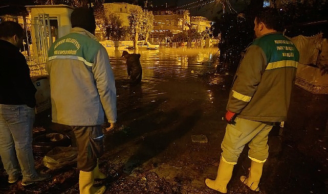Kemer&rsquo;de temizlik &ccedil;alışmaları devam ediyor