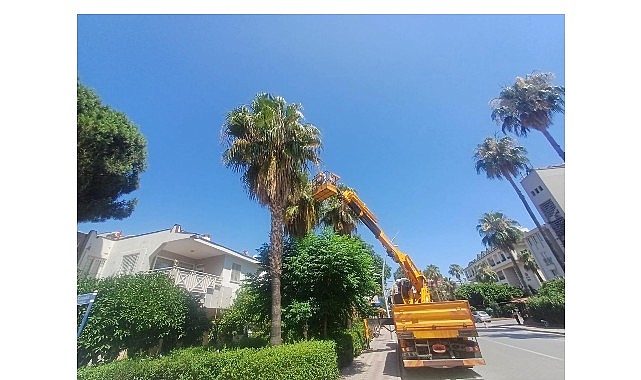 Kemer&rsquo;de yeşil alanlarda bakım &ccedil;alışmaları