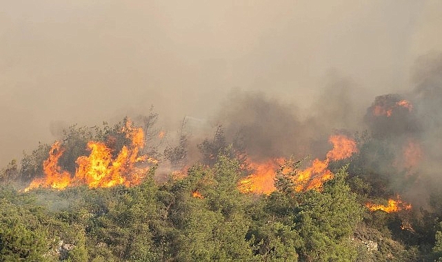 Komşudaki yangına &ccedil;ok sayıda ara&ccedil; ve ekiple m&uuml;dahale