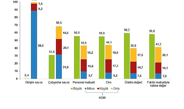 K&uuml;&ccedil;&uuml;k ve Orta B&uuml;y&uuml;kl&uuml;kteki Girişim İstatistikleri, 2024
