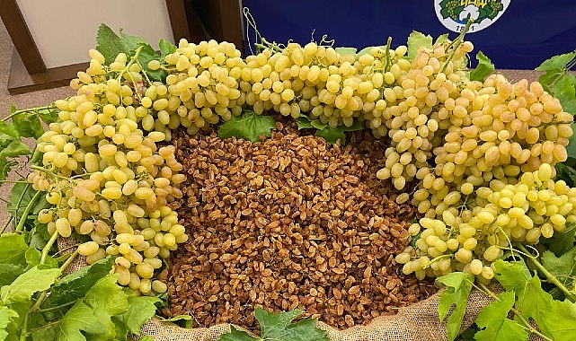 Kuru meyve sekt&ouml;r&uuml;nde 12 ihracat şampiyonunun 11&rsquo;i Egeli