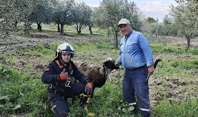 Kuyuya d&uuml;şen koyunu itfaiye kurtardı