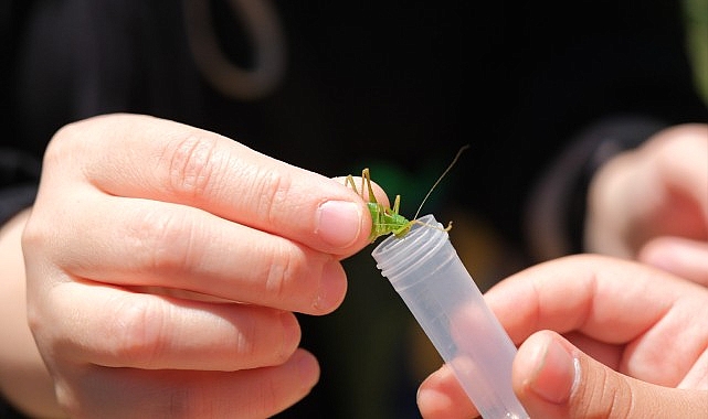 Kuzuyayla'da biyo&ccedil;eşitlilik haritası &ccedil;ıkarıldı