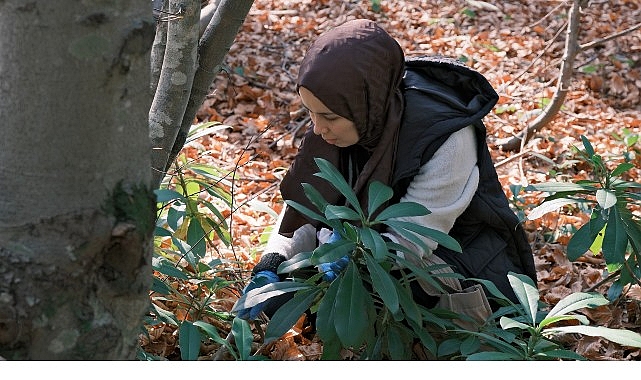 Kuzuyayla'da mantarların gizemli d&uuml;nyası keşfedildi