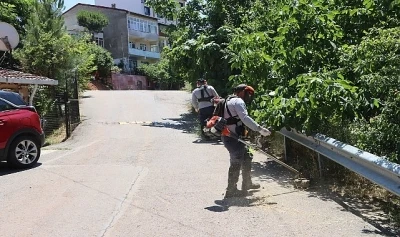Maltepe'de &ccedil;evre d&uuml;zenleme &ccedil;alışmaları devam ediyor