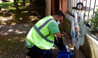 Maltepe&rsquo;deki hayvan sulukları temizleniyor